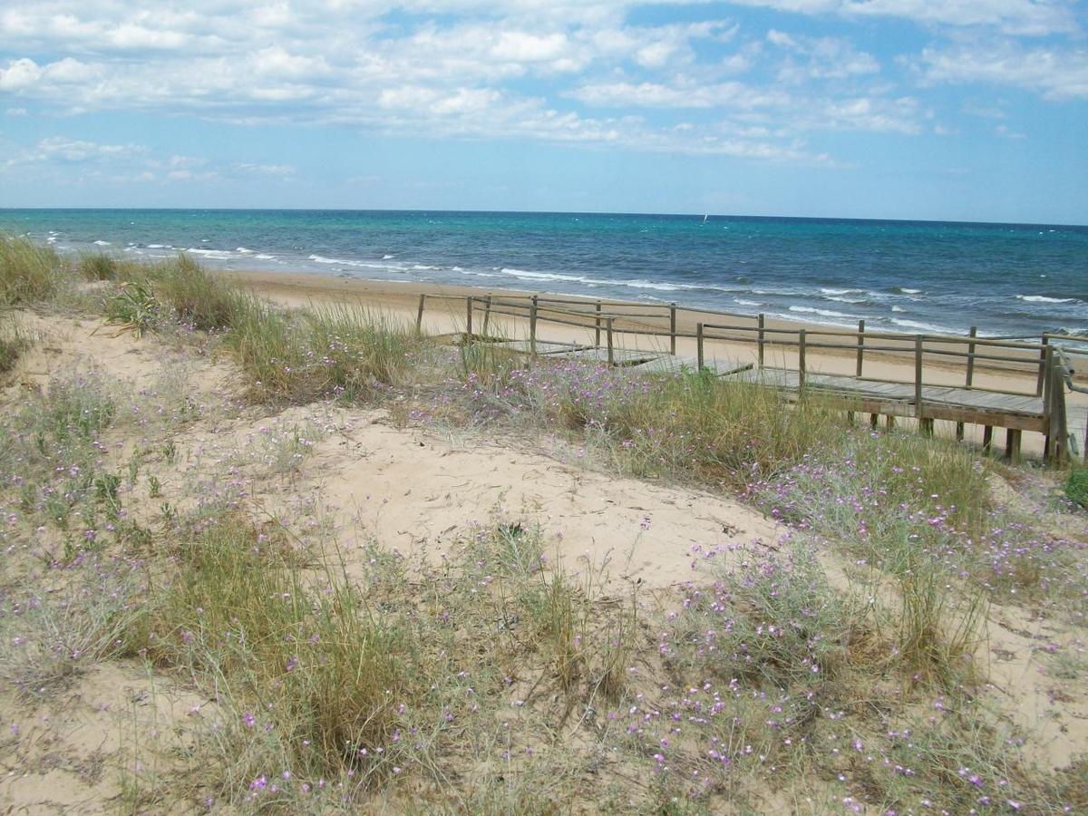 Roderic - Apartamento Junto Al Mar Oliva Kültér fotó